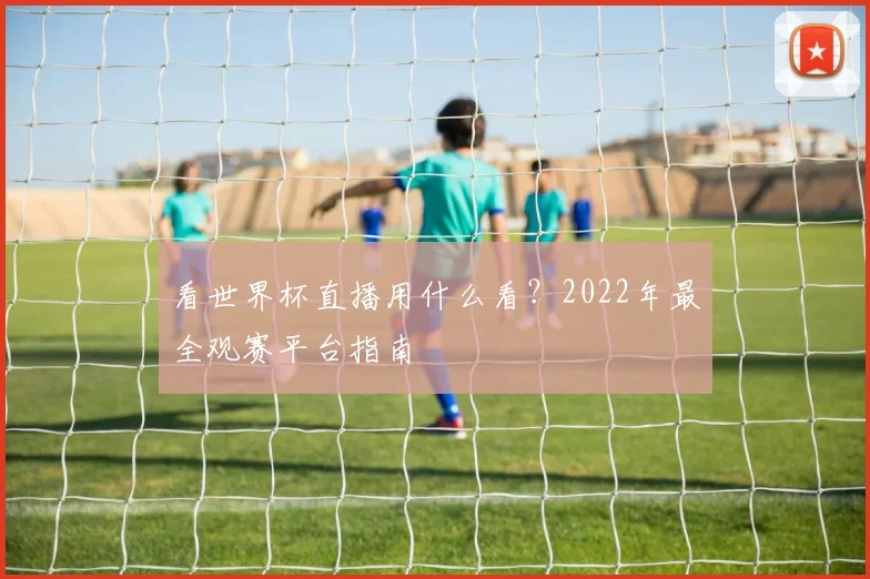 看世界杯直播用什么看？2022年最全观赛平台指南