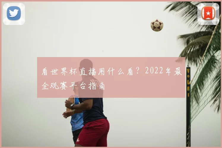 看世界杯直播用什么看？2022年最全观赛平台指南