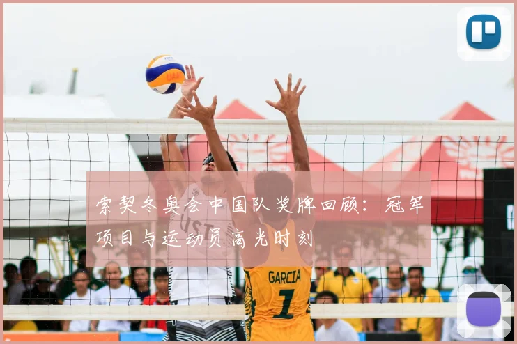 索契冬奥会中国队奖牌回顾:冠军项目与运动员高光时刻