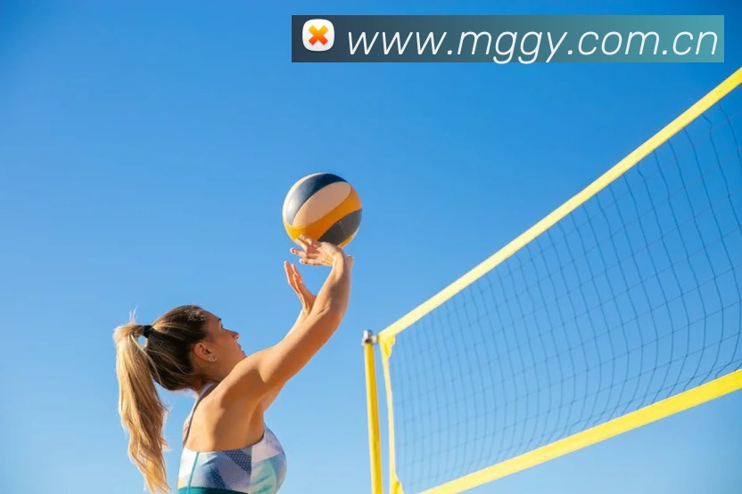 开云在线官网登录入口全站App